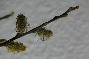 P1050572