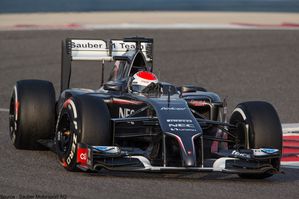 Sauber---Adrian-Sutil-2014.jpg