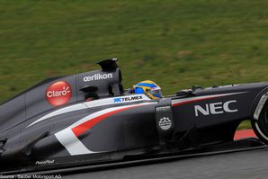 Sauber - Sergio Perez, PaucoPlast