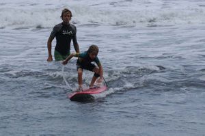 Surf 7346