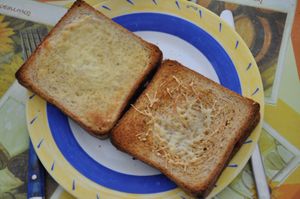croque.jpg