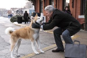 AKITA INU est-il AGRESSIF ? - LE BLOG DU SHIBA INU ET DES AKITA INU est-il AGRESSIF ? - LE BLOG DU SHIBA INU ET DES