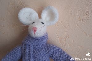 sourisblanche5