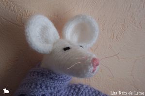 sourisblanche6