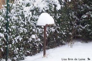 neige3