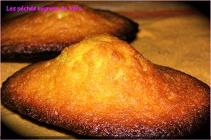 madeleine !