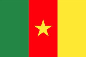 cameroun-drapeau-copie-1.jpg