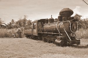 23. Ancienne locomotive d'un train utilisé pour l'exploitation de la canne à sucre