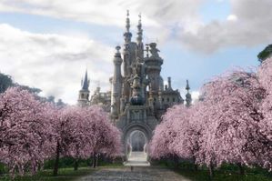 alice-image-3.jpg