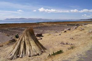 1.-Botte-de-roseaux-en-bordure-du-lac-Titicaca.jpg