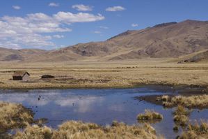 2.-Cabane-de-berger-sur-l-Altiplano.jpg