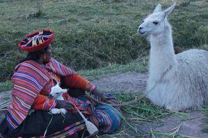 3. Dame péruvienne avec son lama