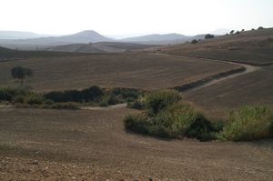 3.-Les-collines-fertiles-avant-Tarsus.jpg