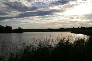 2 Etang à Munster en Lorraine