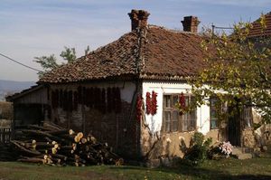 2. Maison typique du village de Donjiadrovac