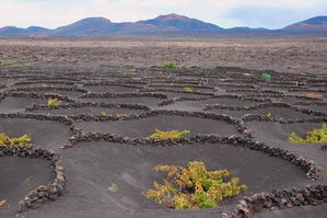 Lanzarote La géria (2)