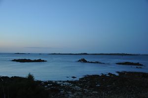 11-0259.JPG