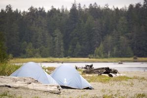 camping 101