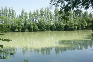 etang-de-l-ecrevisse-bleu-2.jpg