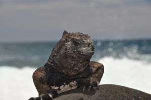 DSC 1468