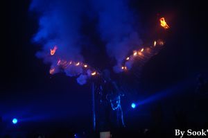 DSC04462.JPG
