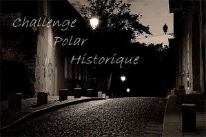 challenge polar historiques-copie-1