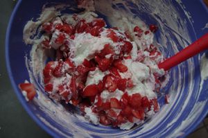 double-layer-cake-fraises-mascarpone4