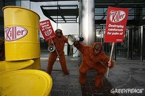 activiste-orangoutan
