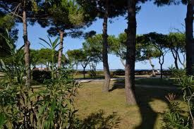 plage-des-pins.jpg