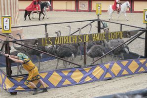 PuyDuFou2013 1635