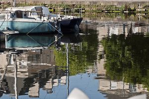 _DSC9298-copie-1.jpg
