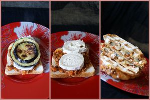 2 croc bolo ubergine chevre
