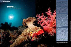 PI121SpecialPhoto2