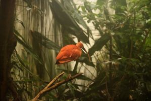 biodome 020