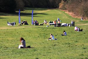 Trionium Leith Hill Half Marathon 2014. Una bella mezza eco-maratona, tra valli, colli e boschi nel bucolico Surrey