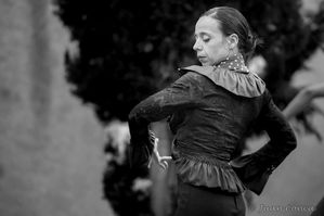 Stage-de-danse-Flamenco-Sophie-Barberan.jpg