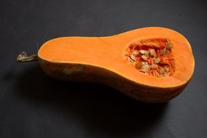 t butternut squash1