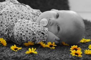 shooting-familles 1264