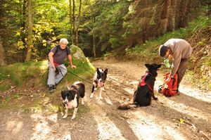 chiens 009
