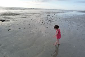 P1020872--800x533-.jpg