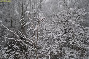 neige-les-16-et-17.01.2013 0858