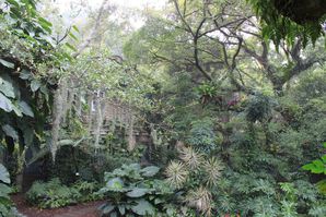 botanic-garden 8674