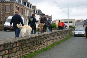 paimpol-5.jpg