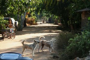 cambodge1-443.JPG