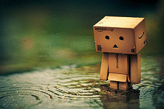 danbo.gif