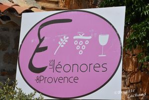 les-eleonores-Fayence250613-BL-108.JPG
