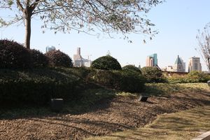 PHOTOS-BLOG 1521