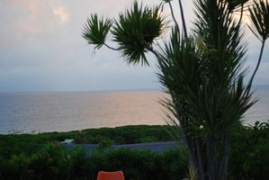 DSC_0300.jpg