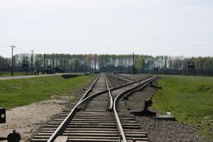 Auschwitz birkenau pologne (46)