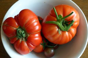 2-tomate-2.jpg